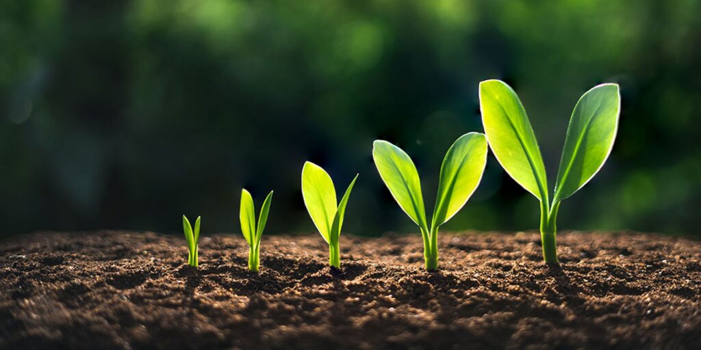 Reflecting on Ant’s Journey: A Reunion with Our Second Employee Image